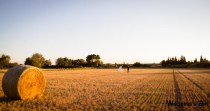 Wedding's Art | Photo & Film