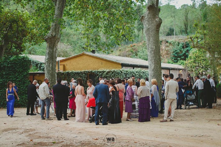 casament-lotus-blau-42