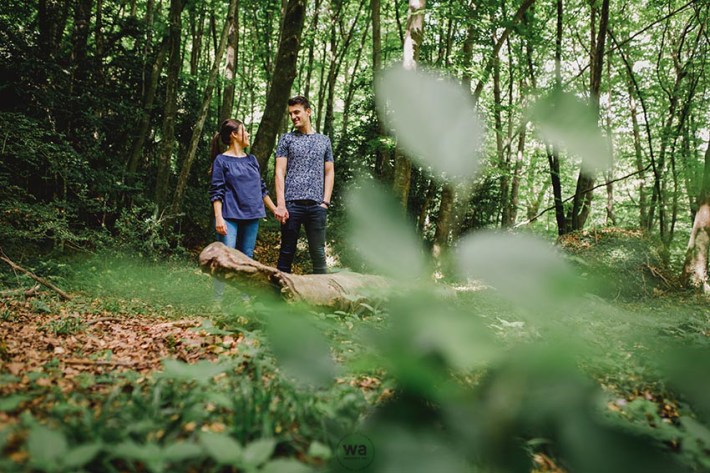 Preboda Garrotxa 17
