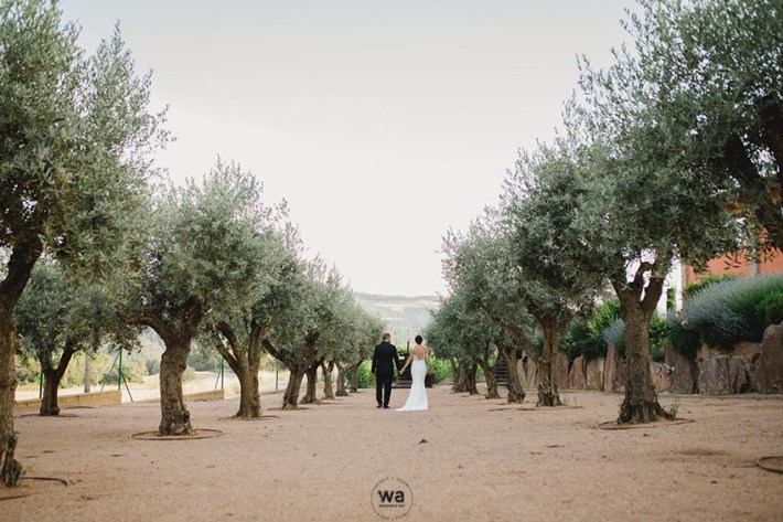 Casament Masia Vilasendra 118